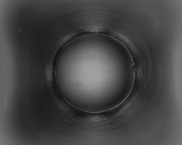 X0000100780540200806191305