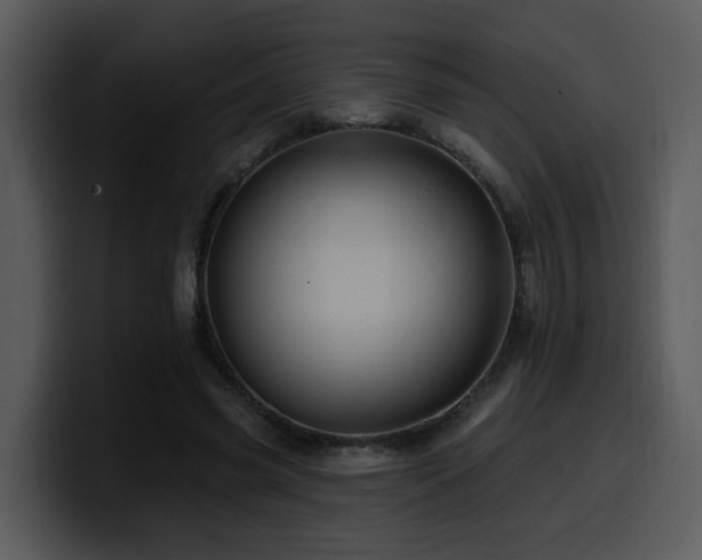 X0000100780541200806191305