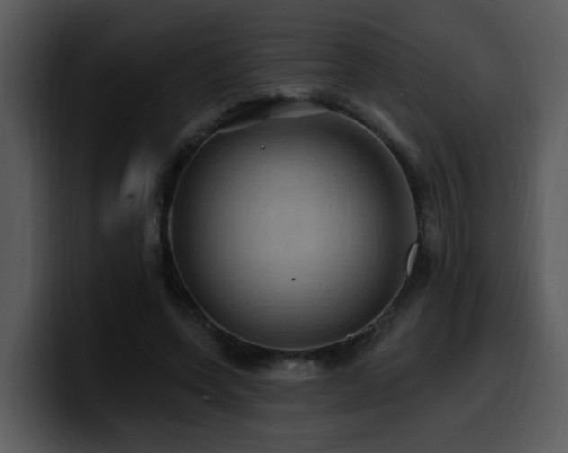 X0000100780543200806191305