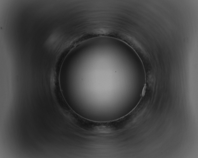 X0000100780544200806191305