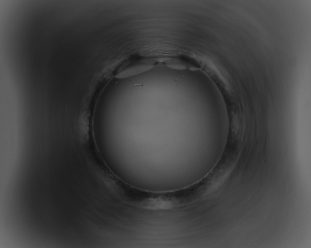 X0000100780545200806191305