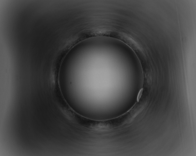 X0000100780546200806191305