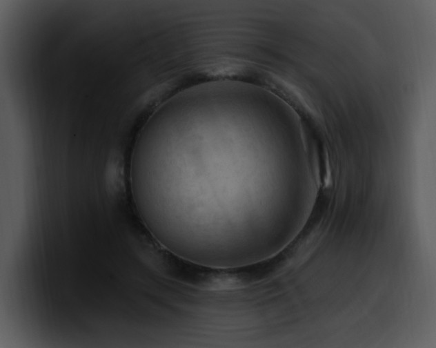 X0000100780547200806191305