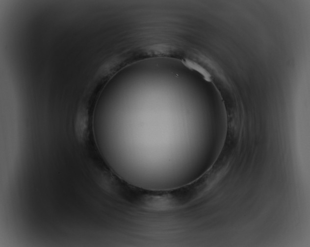 X0000100780548200806191305