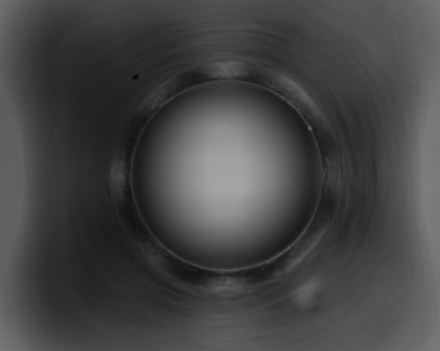 X0000100780549200806191305