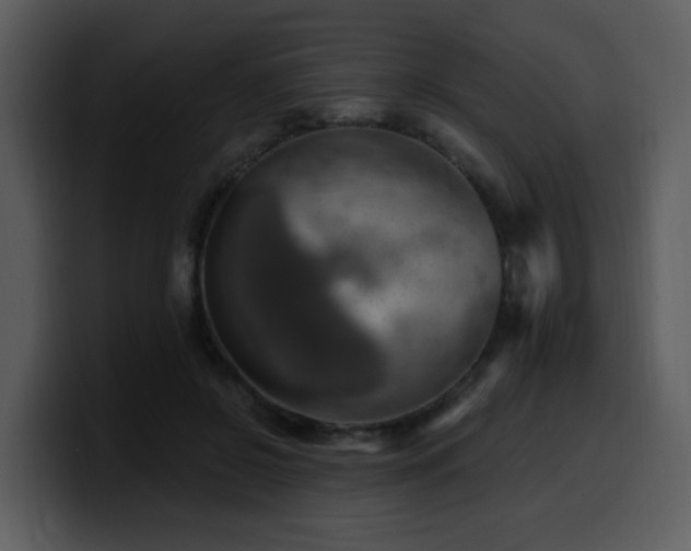 X0000100780550200806191305