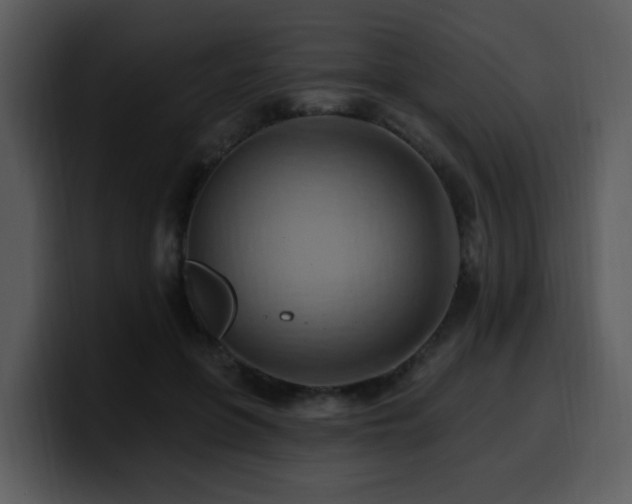 X0000100780551200806191305