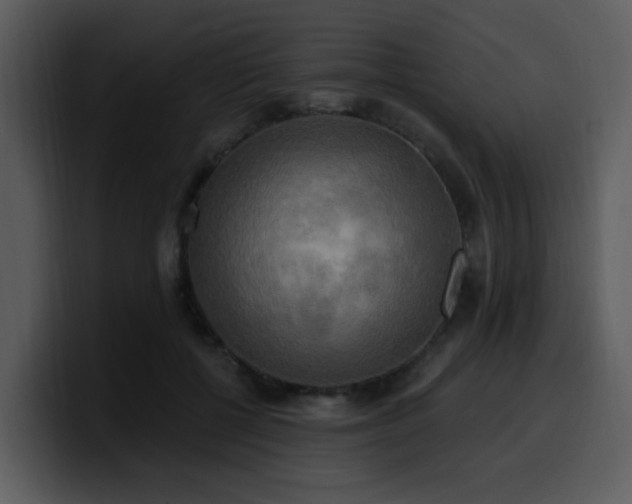 X0000100780552200806191305