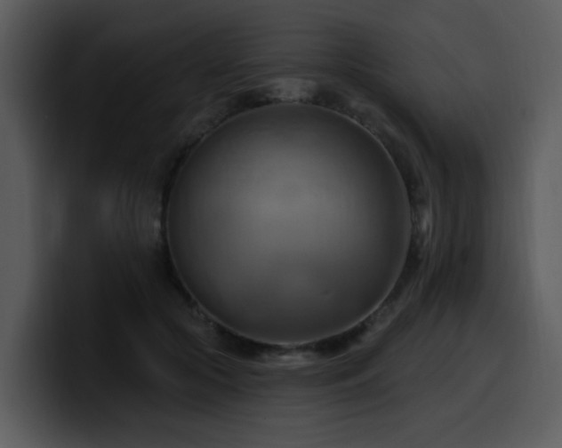 X0000100780553200806191305