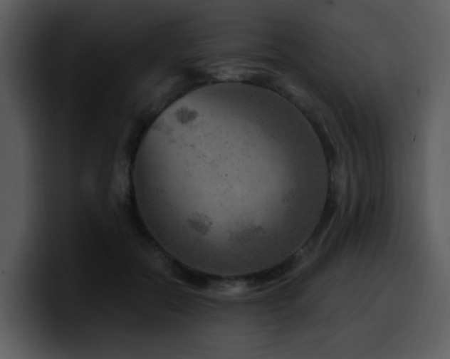 X0000100780554200806191305