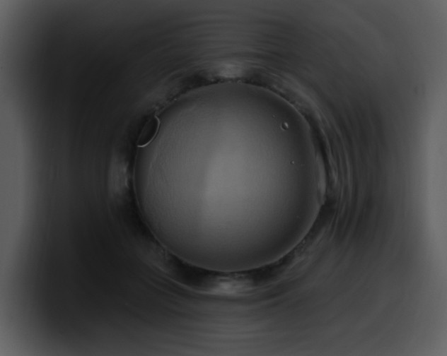 X0000100780555200806191305