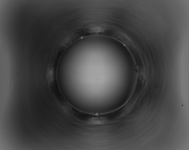 X0000100780556200806191305