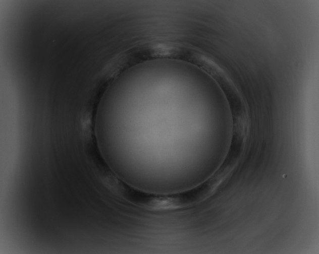 X0000100780557200806191305