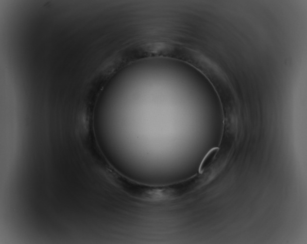 X0000100780558200806191305