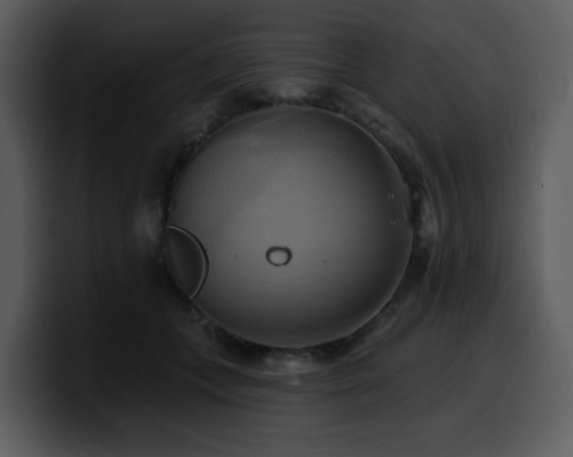 X0000100780559200806191305