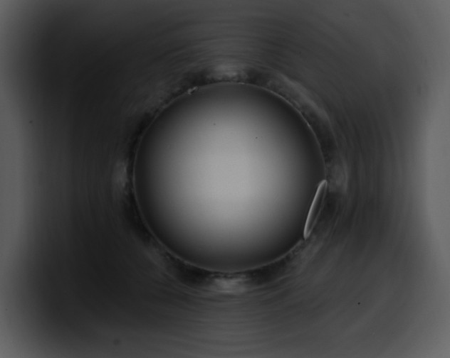 X0000100780560200806191305