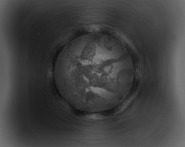 X0000100780561200806191305