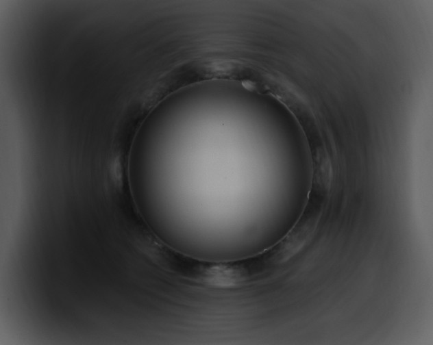 X0000100780562200806191305