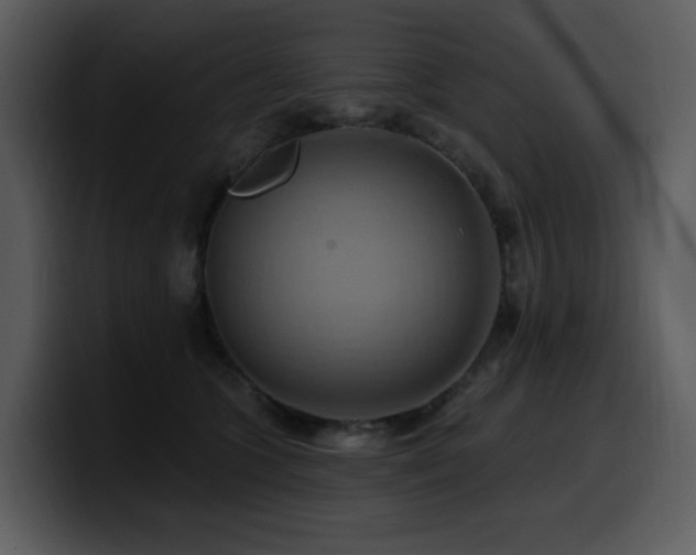 X0000100780563200806191305