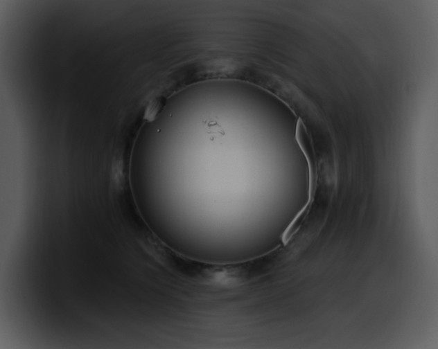 X0000100780564200806191305