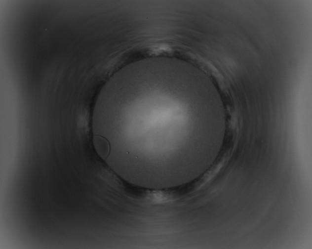 X0000100780565200806191305