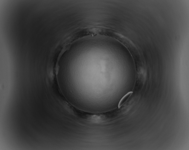 X0000100780566200806191305