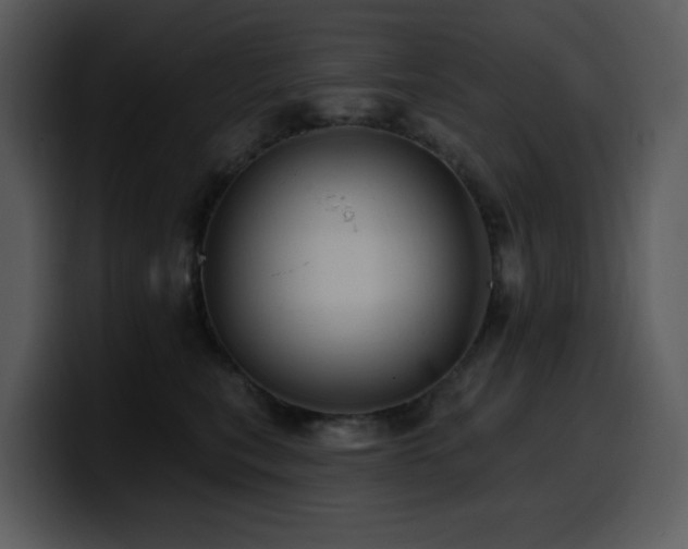 X0000100780567200806191305