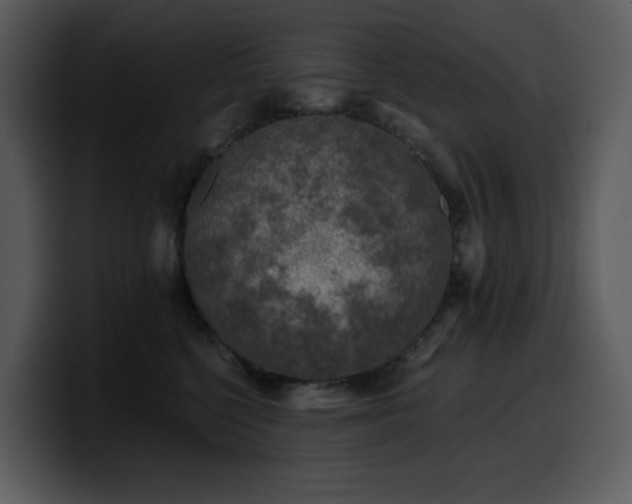 X0000100780568200806191305