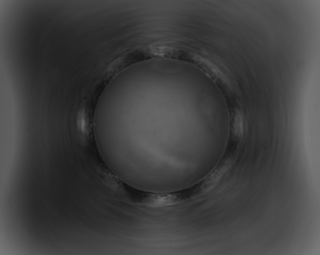 X0000100780569200806191305