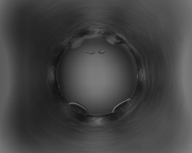 X0000100780570200806191305