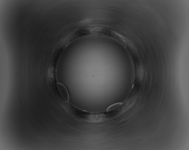 X0000100780571200806191305