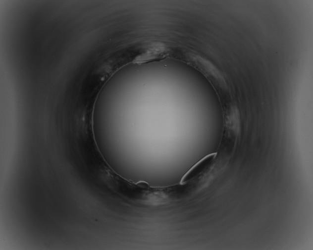 X0000100780572200806191305