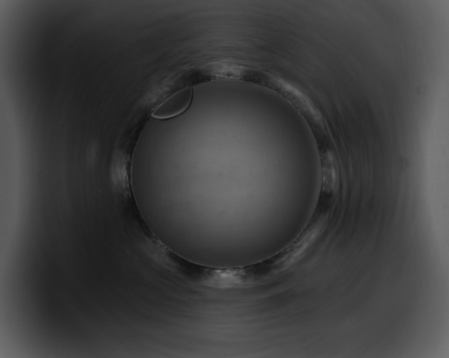 X0000100780573200806191305