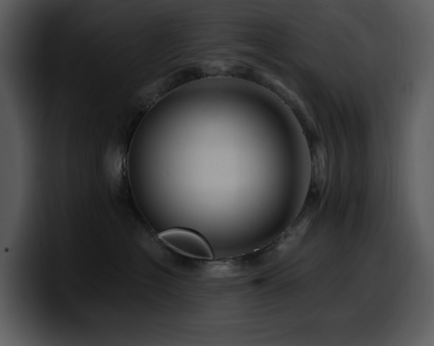 X0000100780574200806191305