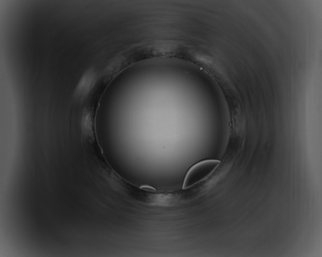 X0000100780575200806191305