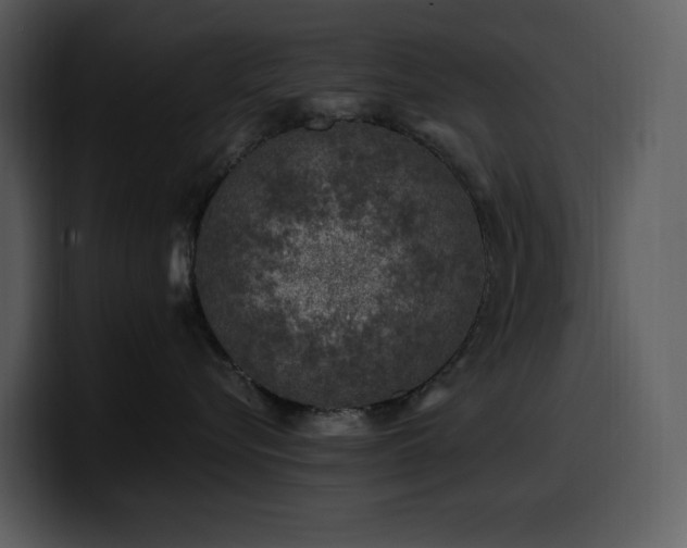 X0000100780576200806191305