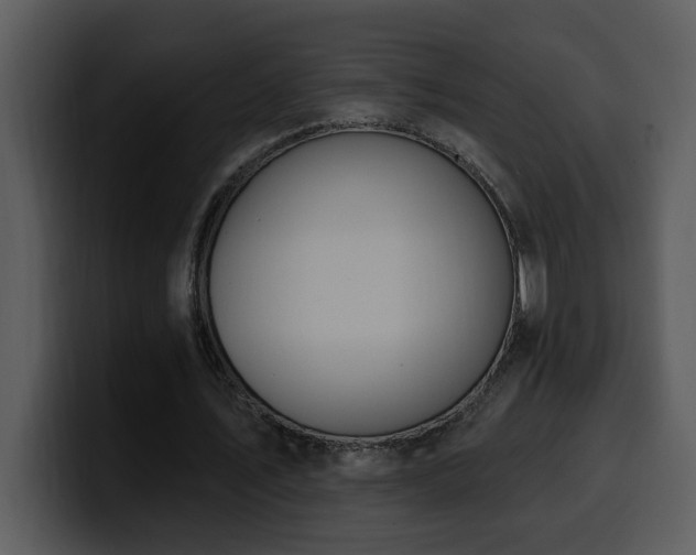 X0000100780579200806191304