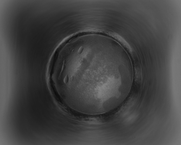 X0000100780580200806191304