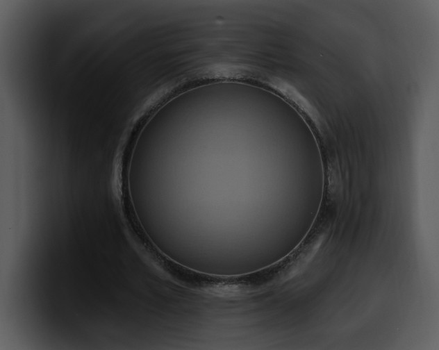 X0000100780581200806191304