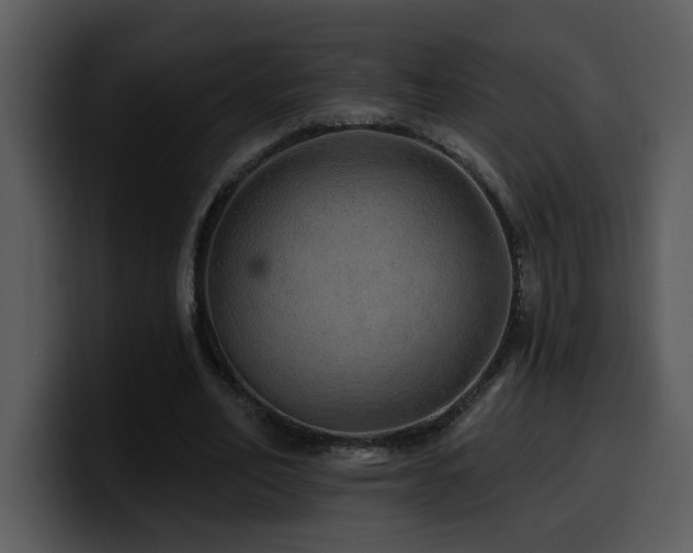 X0000100780582200806191304