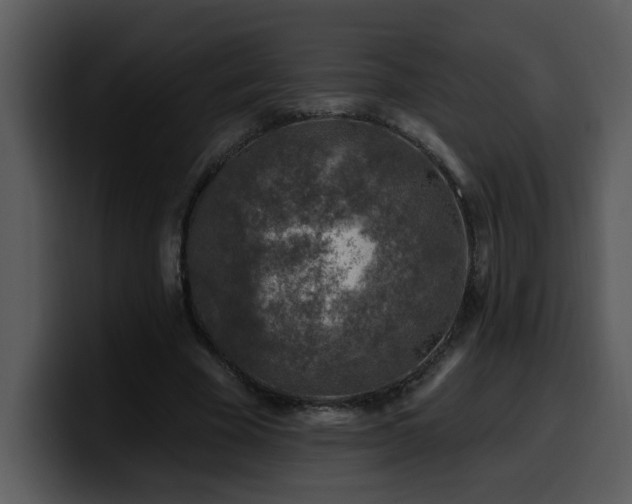 X0000100780585200806191304