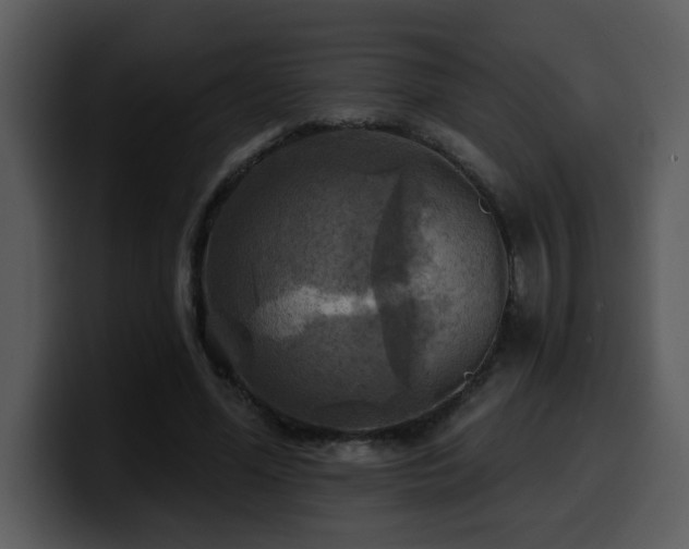 X0000100780588200806191304