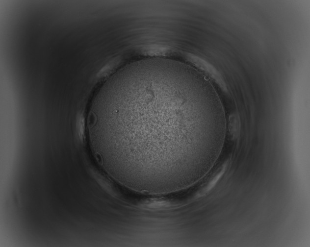 X0000100780589200806191304