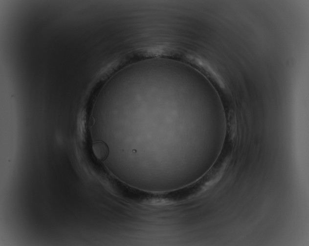 X0000100780590200806191304