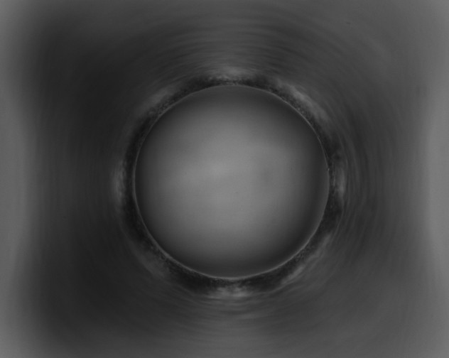 X0000100780591200806191304