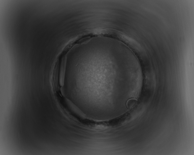 X0000100780592200806191304