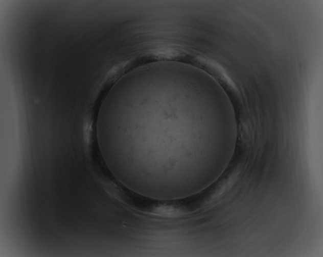 X0000100780596200806191304