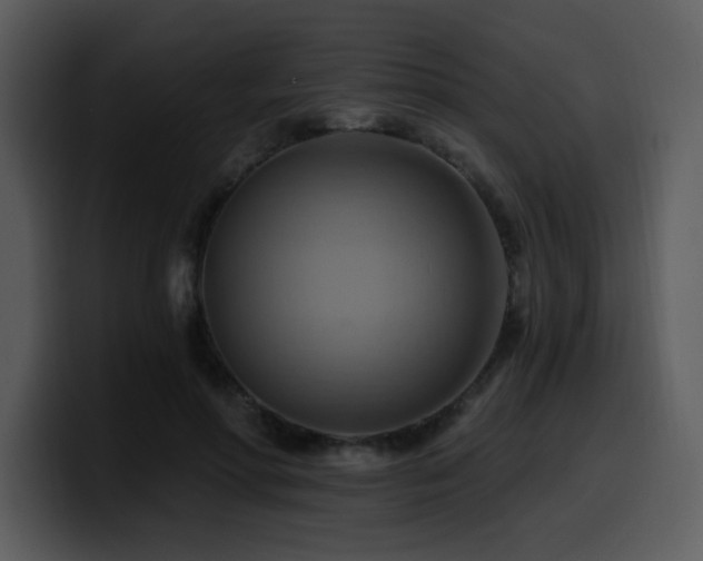 X0000100780598200806191304