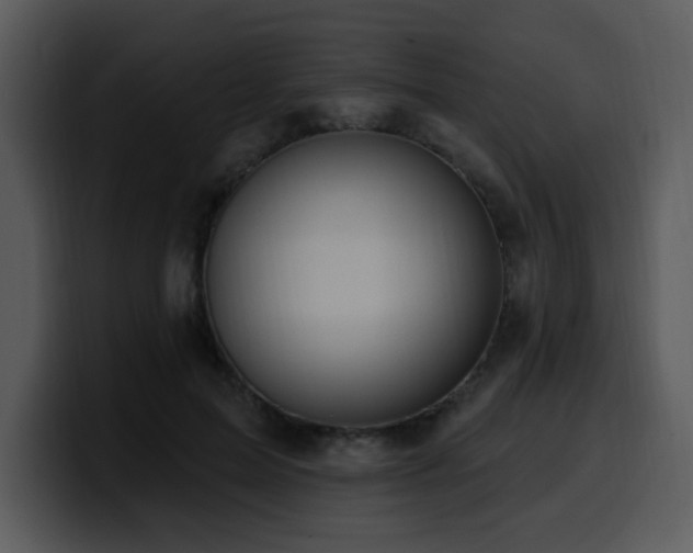 X0000100780599200806191304