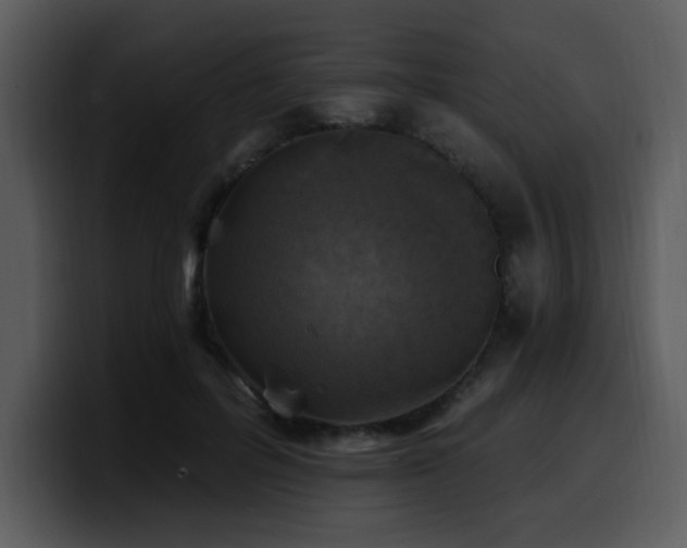 X0000100780600200806191304